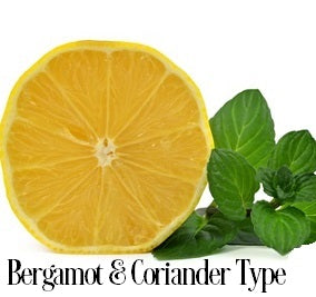 Bergamot & Coriander Fragrance Oil 19817