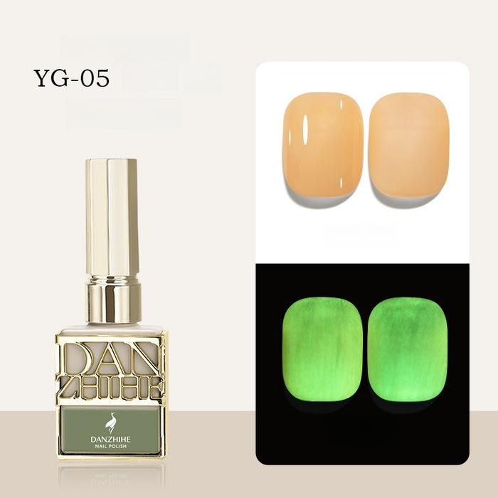 DANZHIHE 12g Dark Night Fluorescence Luminous Gel Polish T4844