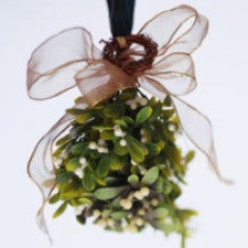Fragrance Oil - Mistletoe (Yankee Candle Dupe)