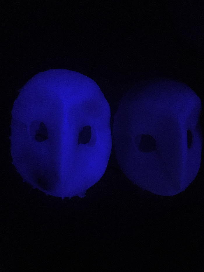 OWL MASK MISCASTS