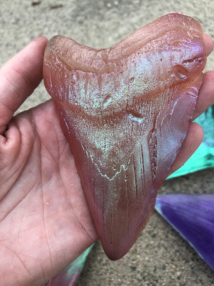 PATREON- MEGALODON SHARK TEETH