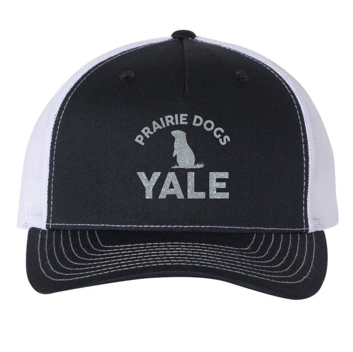 Yale Elementary Five Panel Hat- Matte or Glitter