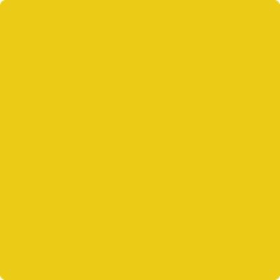 2023-10: Yolk  a paint color by Benjamin Moore avaiable at Clement's Paint in Austin, TX.