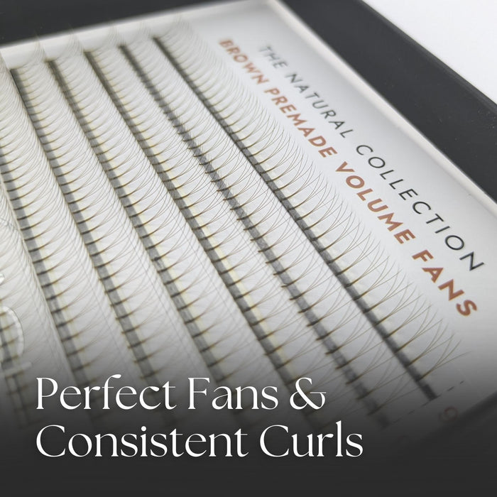 3D Brown Premade Fans Close Up