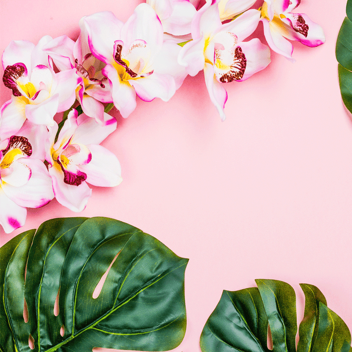 Aloha Orchid Fragrance Oil 1080