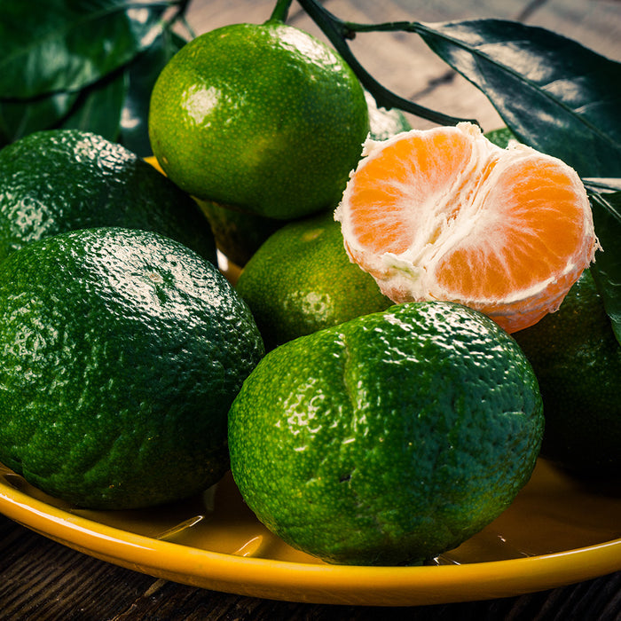 Bergamot & Mandarin Fragrance Oil 190