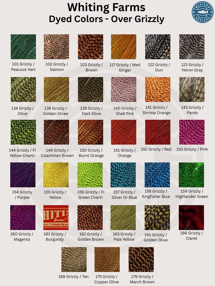 Brahma Hen Cape