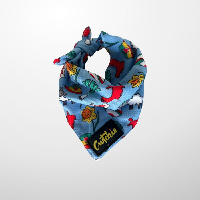 'Cwtchie' Dog Bandana - Medium (Blue)