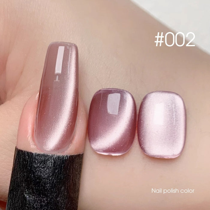 DANZHIHE 12g Glass Moonlight Cat Eye Gel Polish T4842