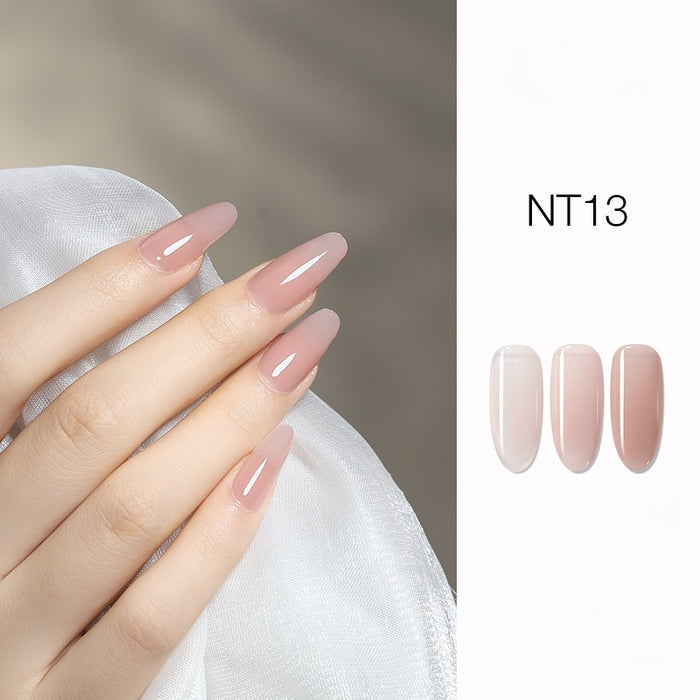 NT13