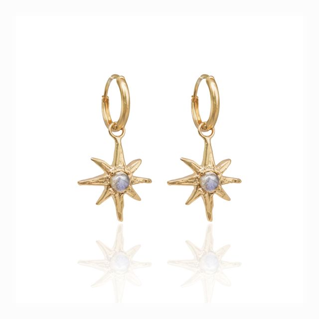 Elegant jewelry: earrings set against a white background