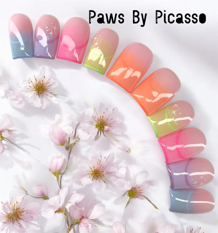 Kaleidoscope - Paws By Picasso Kaleidoscope