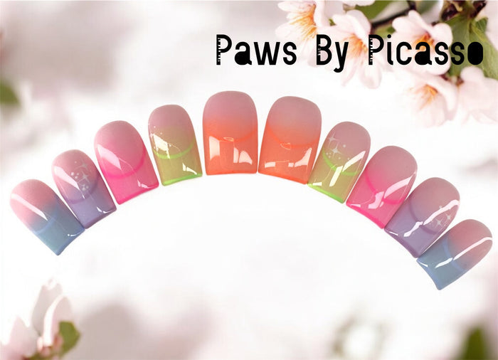 Kaleidoscope - Paws By Picasso Kaleidoscope