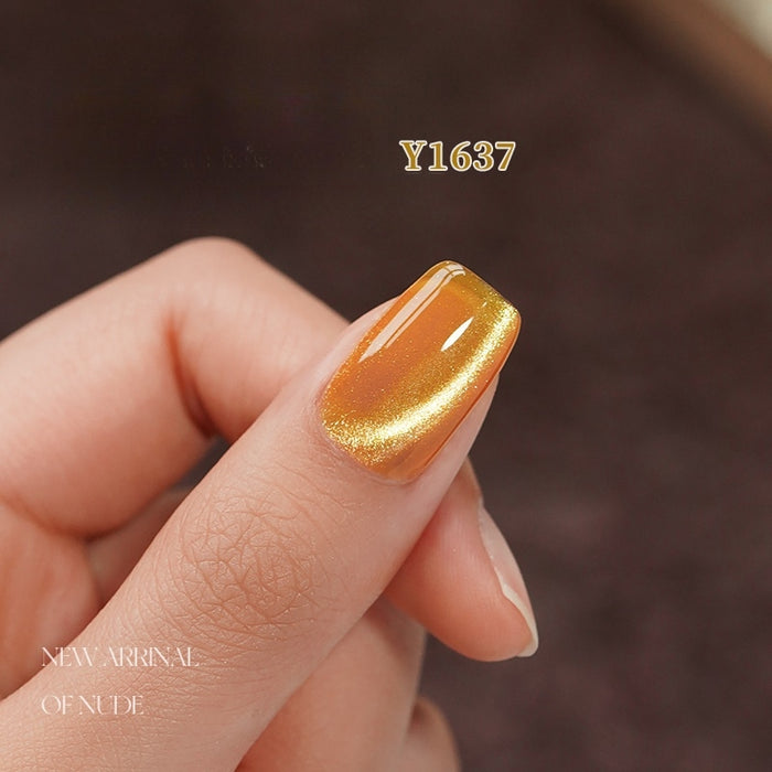 Y1637