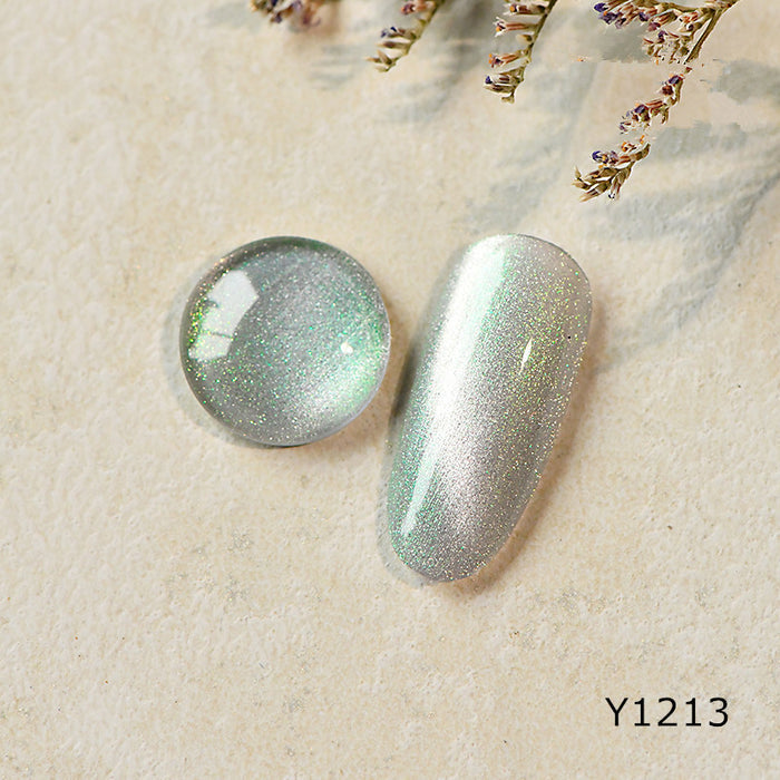 Y1213