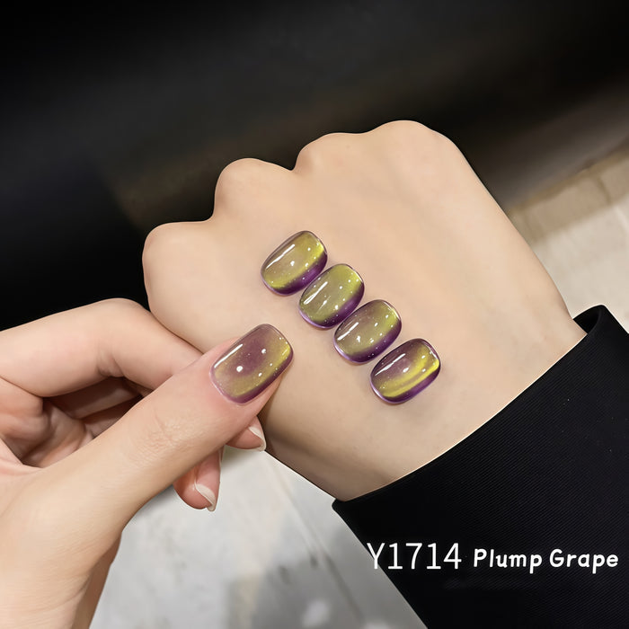Y1714 Plump Grape