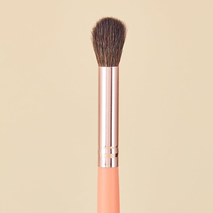 KIT DE BROCHAS DE MAQUILLAJE CORAL LIFE