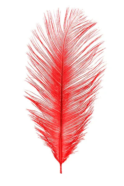 MFC - Ostrich Plume