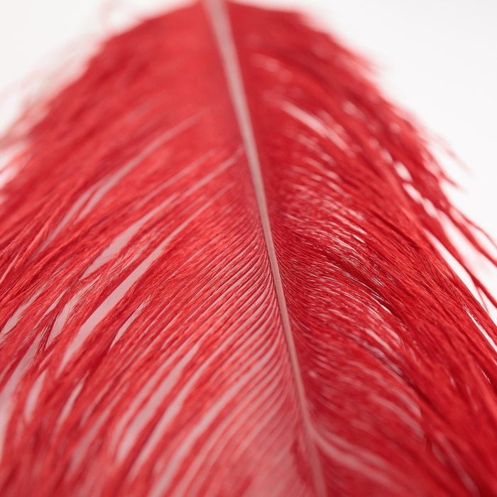 MFC - Ostrich Plume