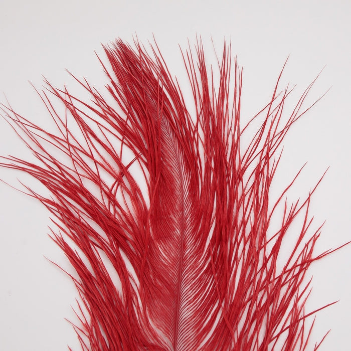 MFC - Ostrich Plume