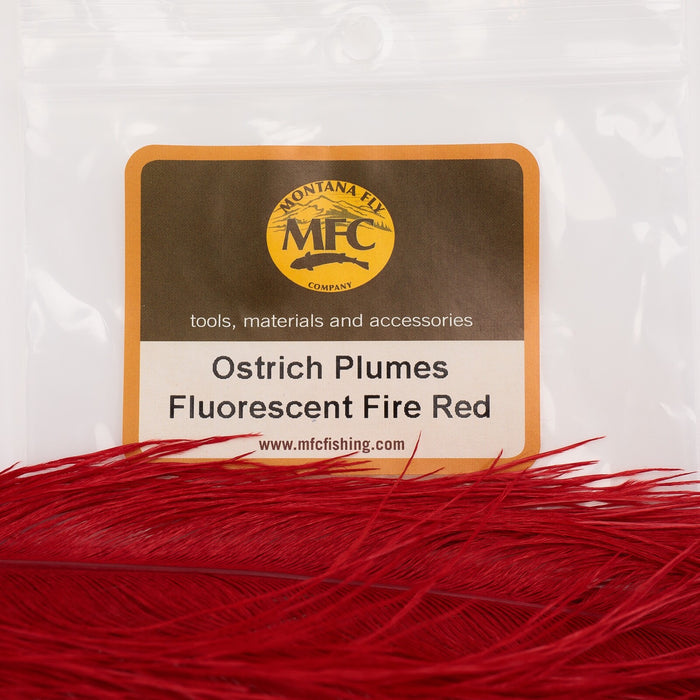 MFC - Ostrich Plume