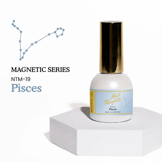 Nail Thoughts NTM-19 Pisces Magnet Gel Color, 13 ml