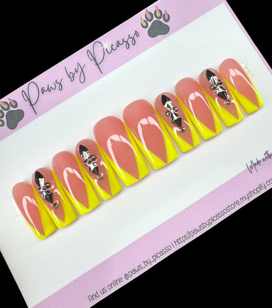 Ready to ship (Acrylic) Set - Paws By Picasso Ready to ship (Acrylic) Set