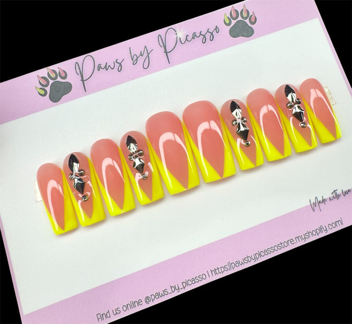 Ready to ship (Acrylic) Set - Paws By Picasso Ready to ship (Acrylic) Set