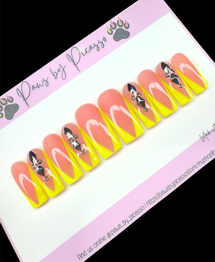 Ready to ship (Acrylic) Set - Paws By Picasso Ready to ship (Acrylic) Set