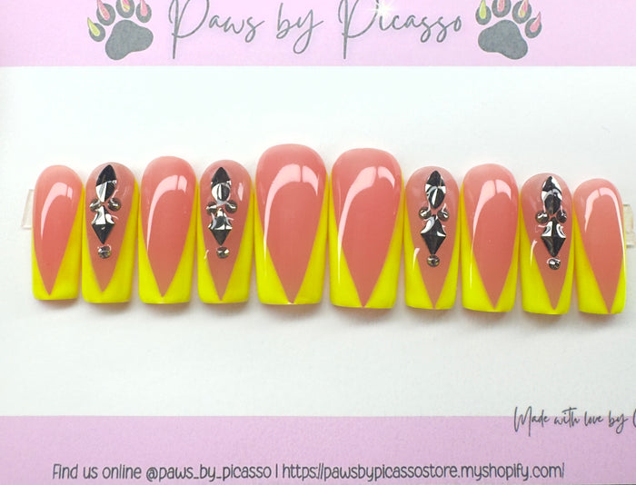 Ready to ship (Acrylic) Set - Paws By Picasso Ready to ship (Acrylic) Set