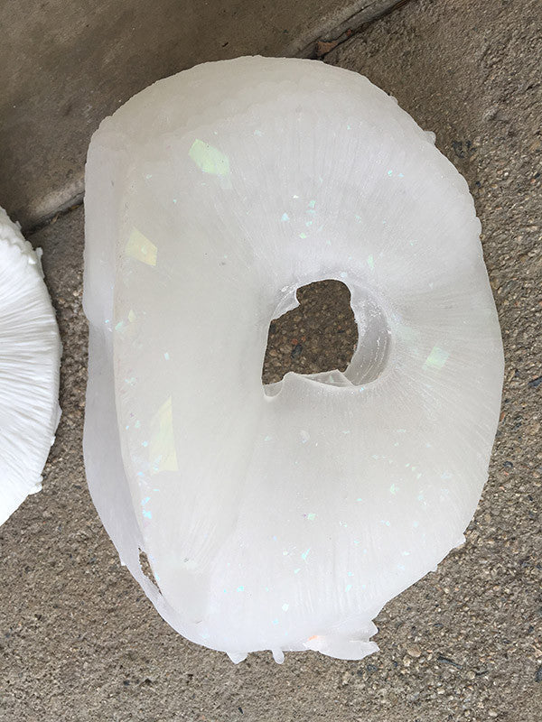 OWL MASK MISCASTS