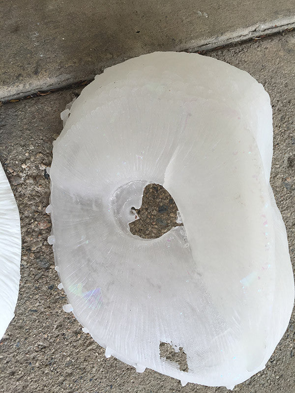 OWL MASK MISCASTS