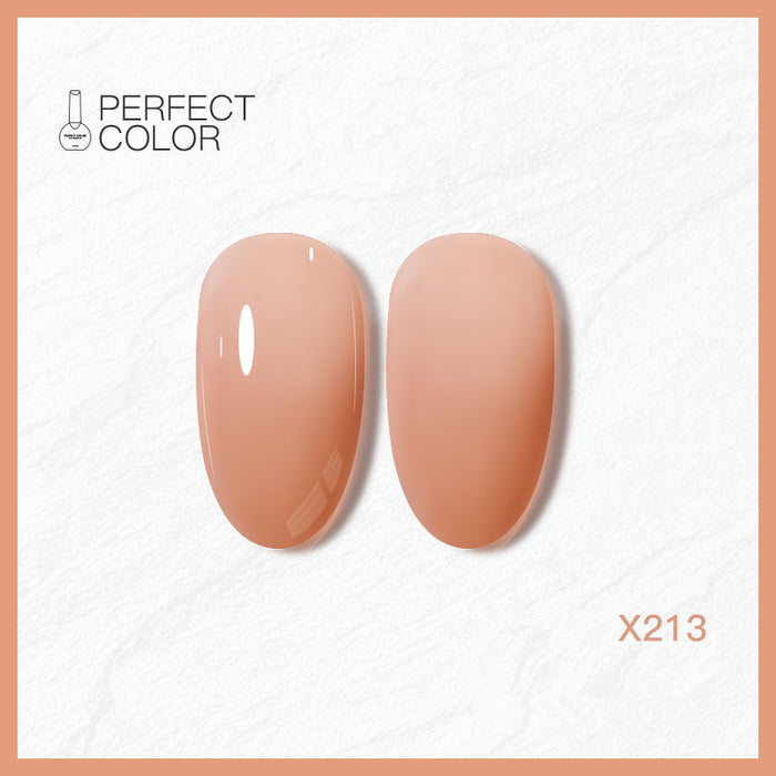 X213