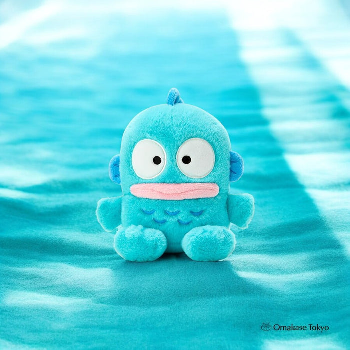 Sanrio Plush – SS Size