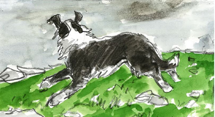 Sheepdog (6) - Sir Kyffin Williams Mounted Print