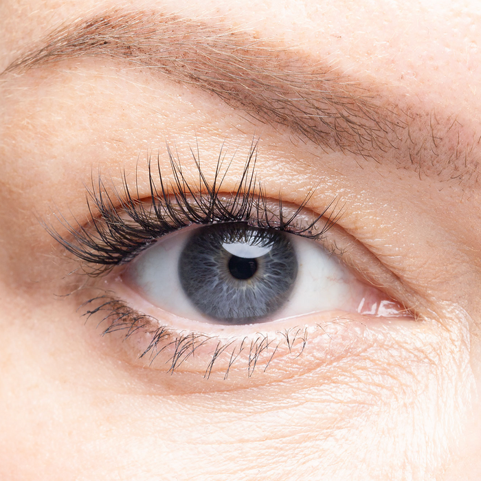 Stockholm - Pre-Glued Lash Clusters