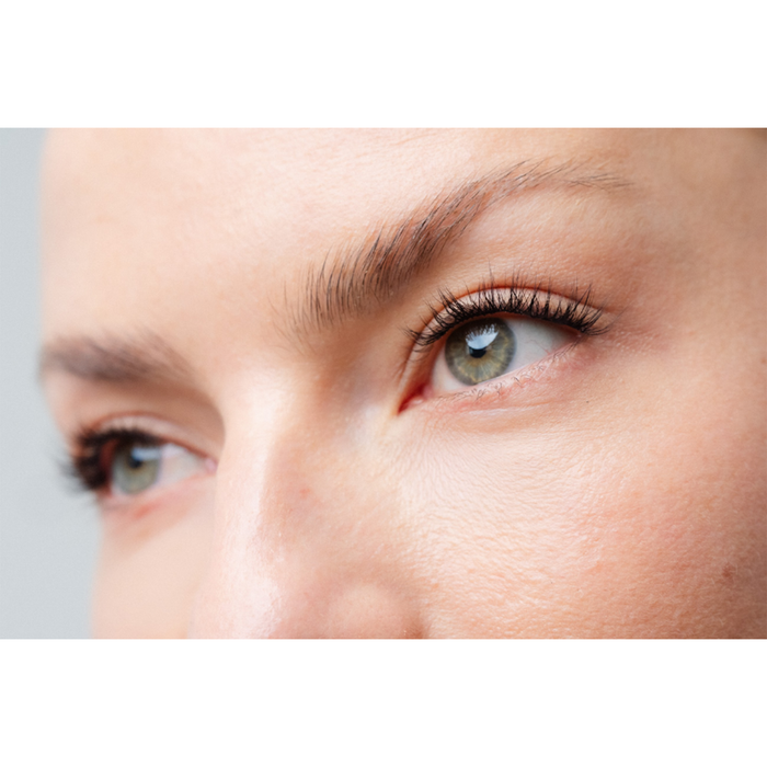 Stockholm - Pre-Glued Lash Clusters
