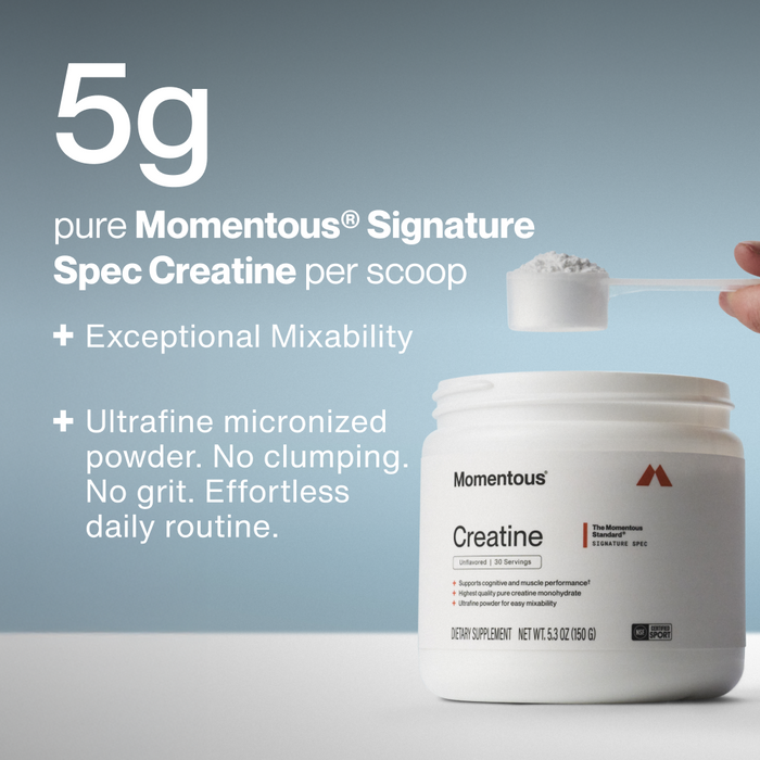 White plastic jar of Momentous Creatine powder with a scoop held above, showing fine white powder texture against a blue background.