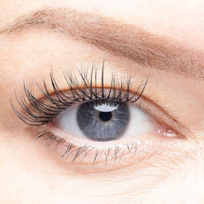 Tokyo - Pre-Glued Lash Clusters