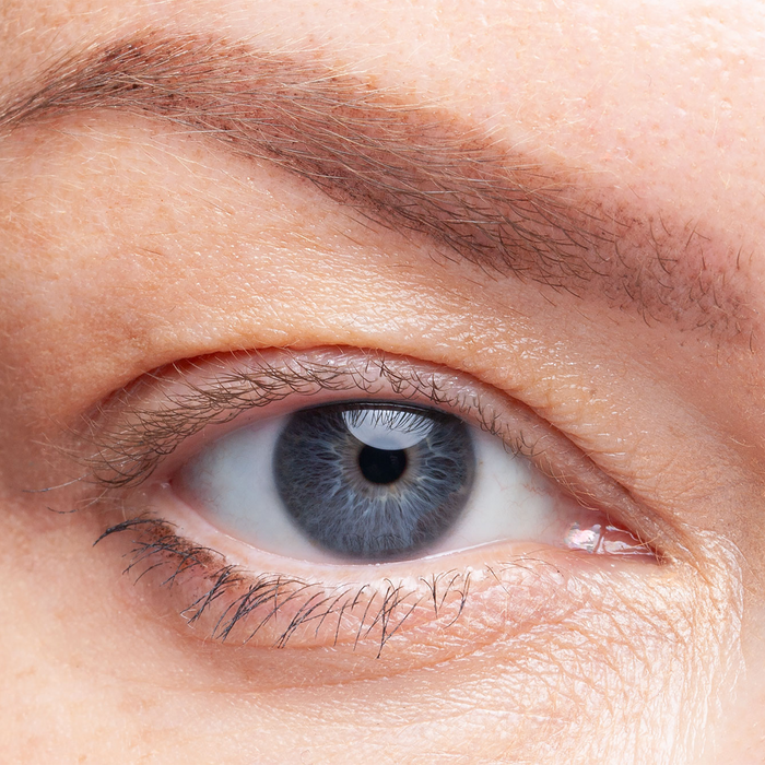 Tokyo - Pre-Glued Lash Clusters
