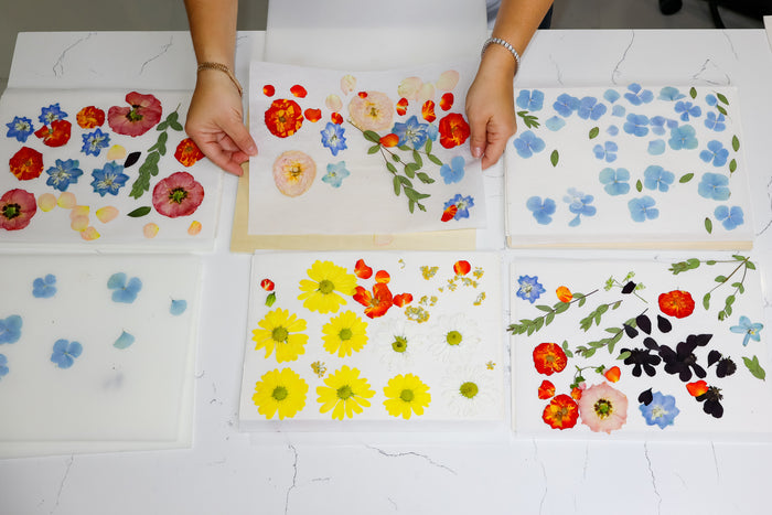 pressed flowers in paper press