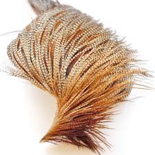 Whiting Bronze Cape