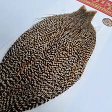 Whiting Bronze Cape