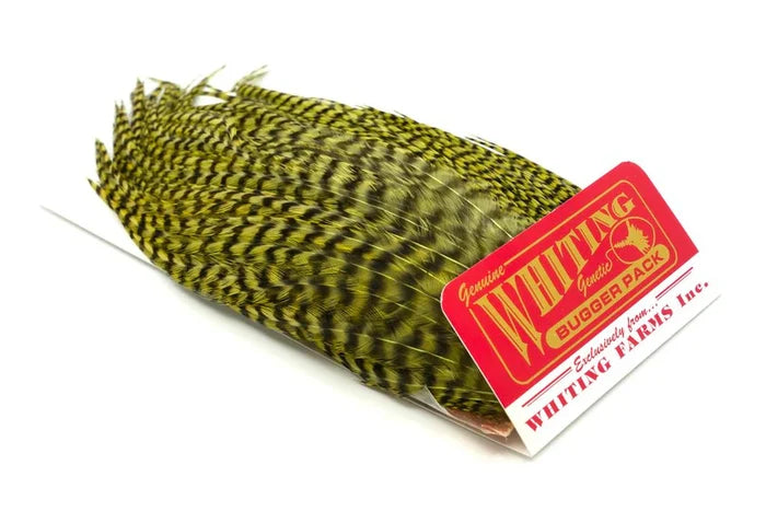 Grizzly/Olive