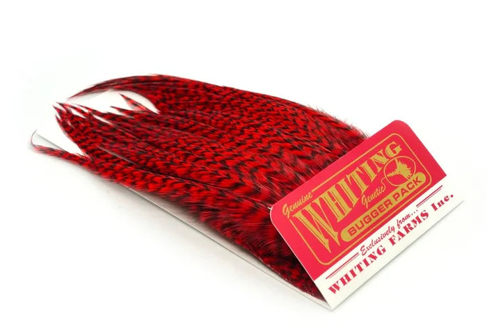 Grizzly/Red