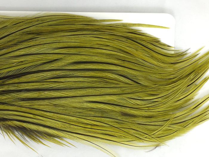 Badger/Olive