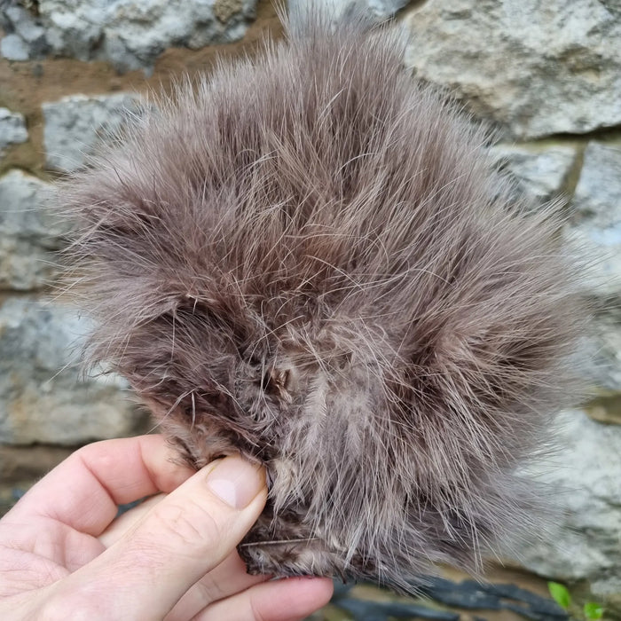 White dyed Dark Dun