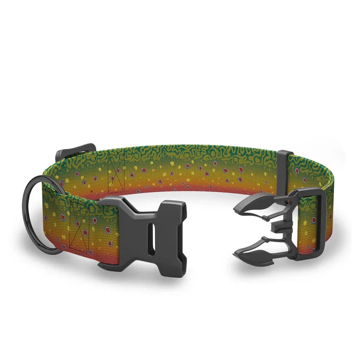 Wingo - Coosa Dog Collar - Brook Trout 2022 - Large