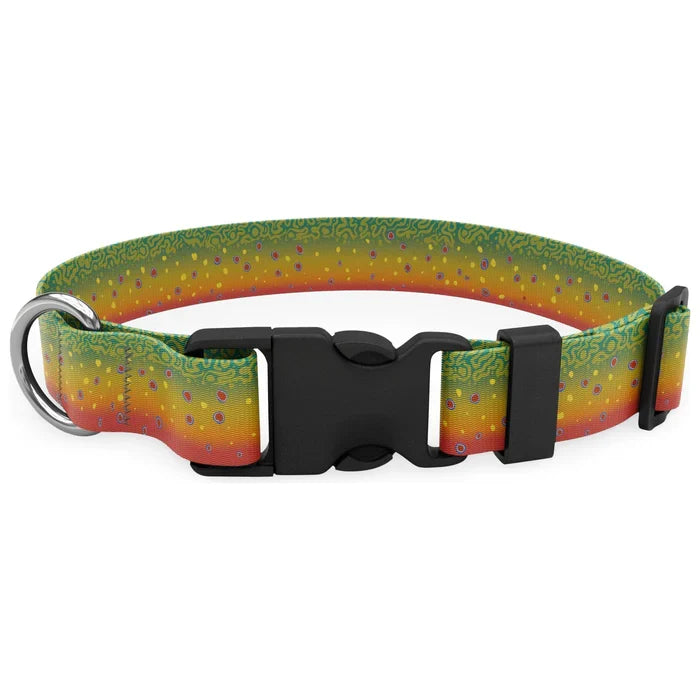 Wingo - Coosa Dog Collar - Brook Trout 2022 - Medium