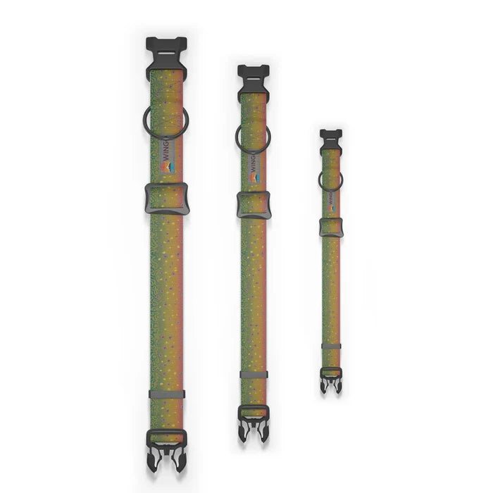 Wingo - Coosa Dog Collar - Brook Trout 2022 - Medium